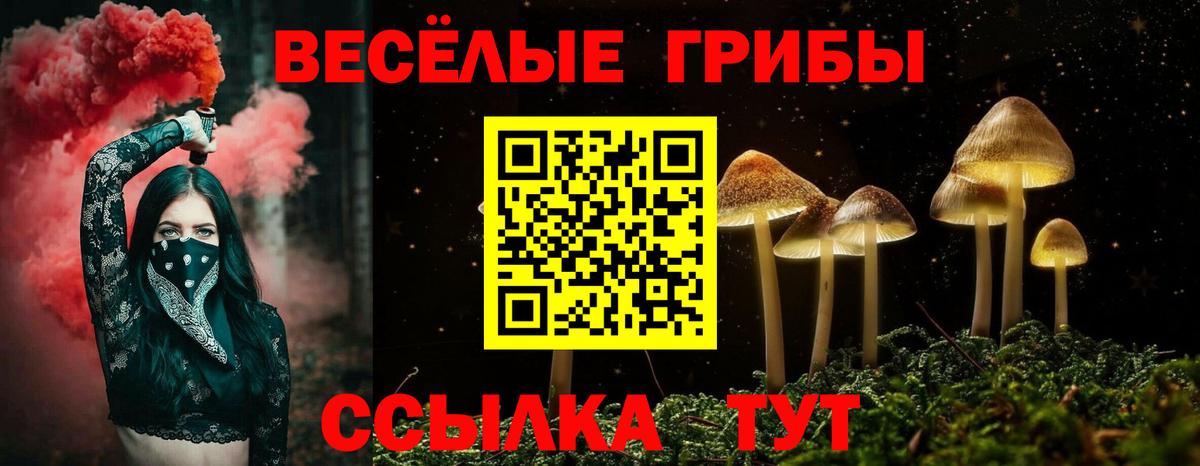 Галлюциногенные грибы Psilocybine cubensis Великий Новгород