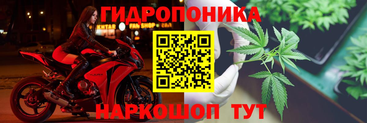 Великий Новгород  Бошки марихуана конопля  Вход с VPN  Бошки марихуана LSD WEED 